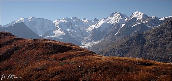 Bernina_view_Piz_Languard
