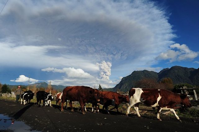 113699-chile-volcano-puyehue