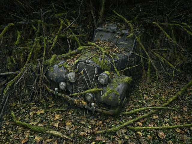 ParadiseParking_08_peterlippmann