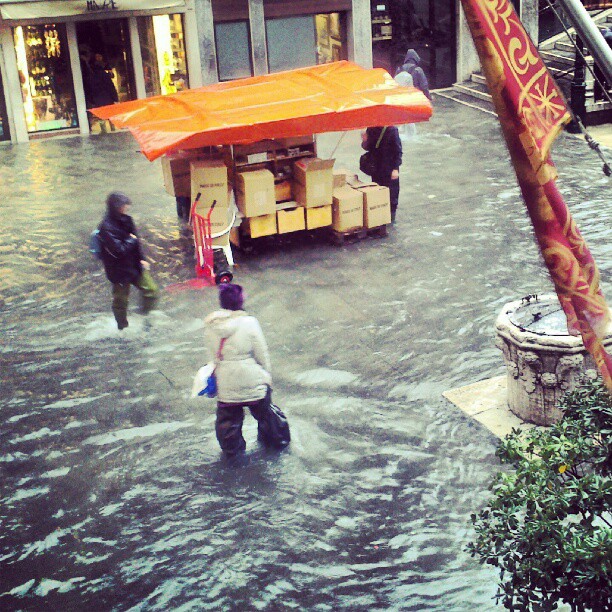 2ab3701e2bde11e2aa0322000a1fa408_7