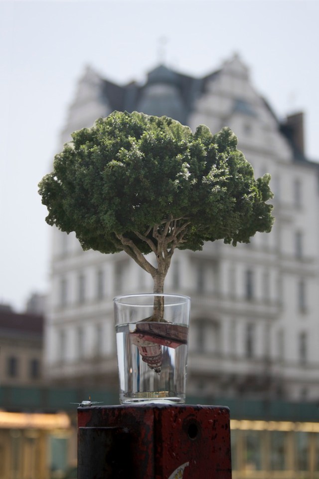 jooyeonwootravelerscup3