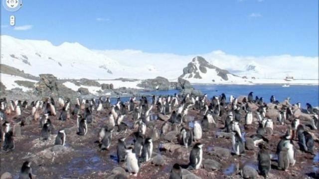 street-view-now-available-on-all-seven-continents-109cca4b3b