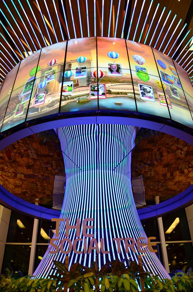 945646_10151523027593598_1727112226_n