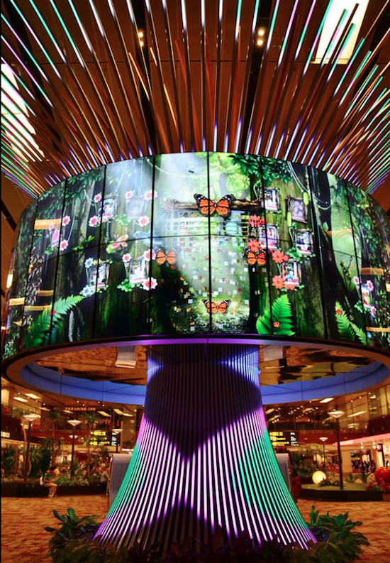 Changi-Airport-The-Social-Tree-3