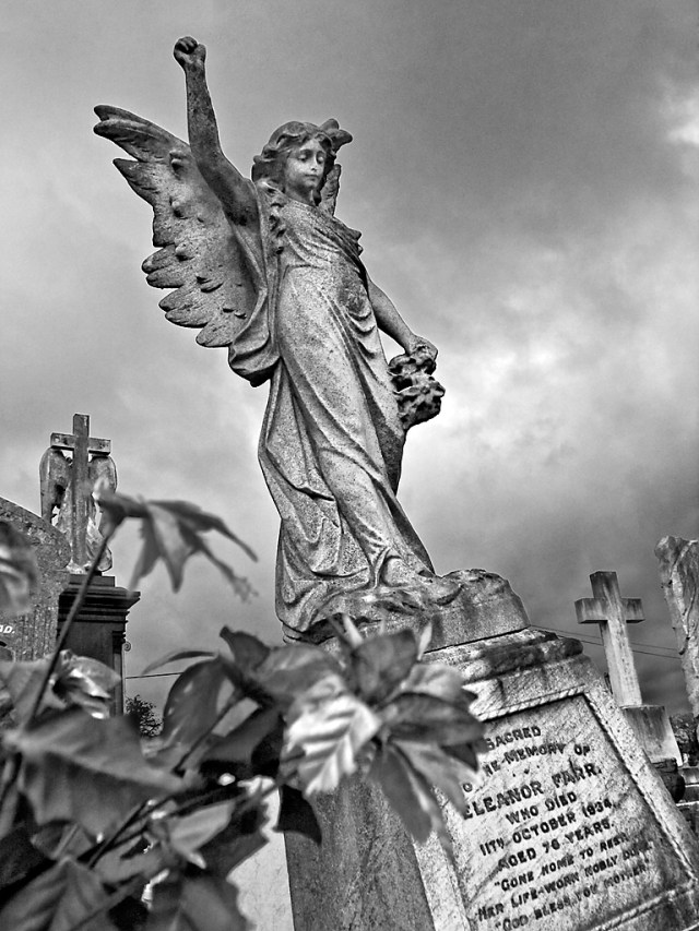 angel