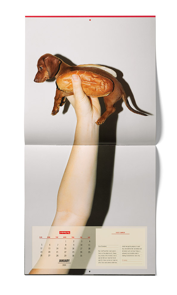 the-standerd-calendar-2014-02