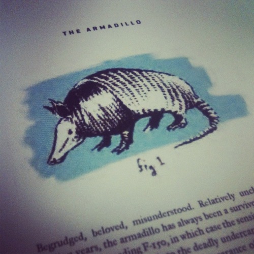 tumblr_miu0ikzvNA1rfzz8ko1_500