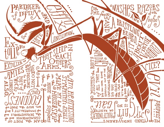 crawfordillustration11