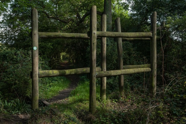 prisacariu-london-loop-path-35