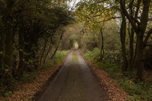 prisacariu-london-loop-path-41