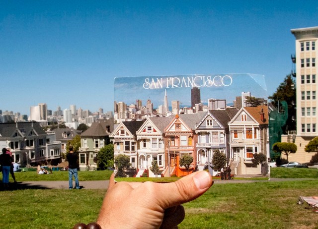 Painted_Ladies