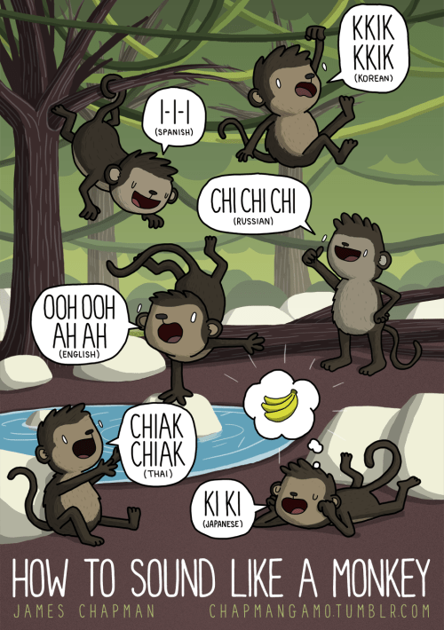 tumblr_nbym6adeP91rcljqpo1_r1_500