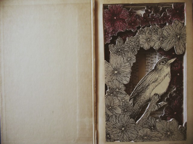 Processed with VSCOcam with m3 preset