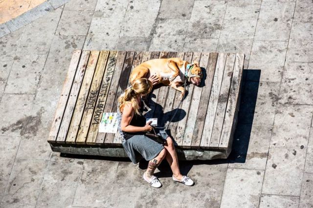 Life-of-a-Bench-Gabor-Erdely-16