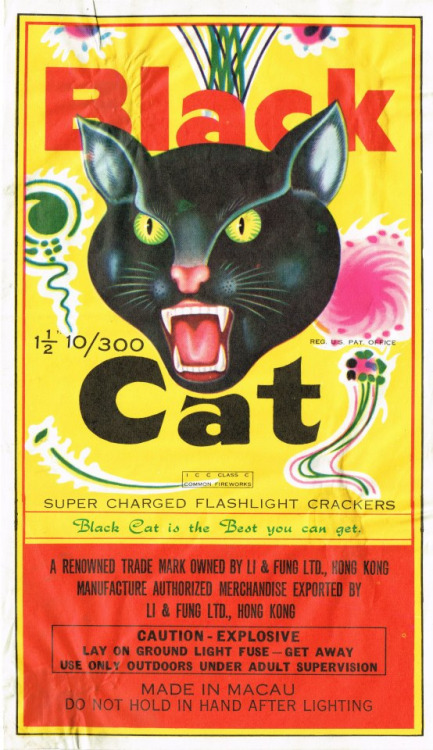 tumblr_nqviamhA2W1qz6f9yo1_500