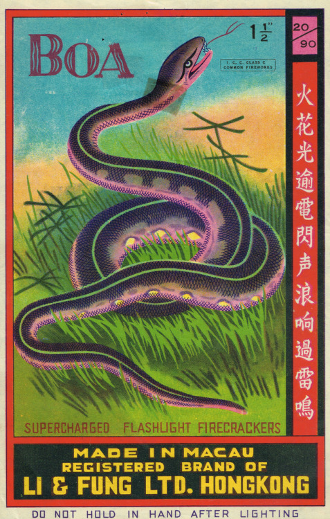 tumblr_nqviamhA2W1qz6f9yo3_500