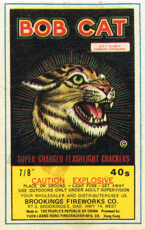 tumblr_nqviamhA2W1qz6f9yo8_500