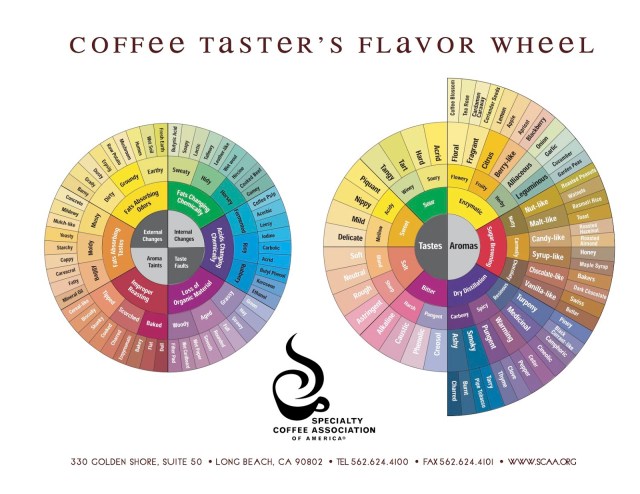 coffee_tasters_flavor_wheel