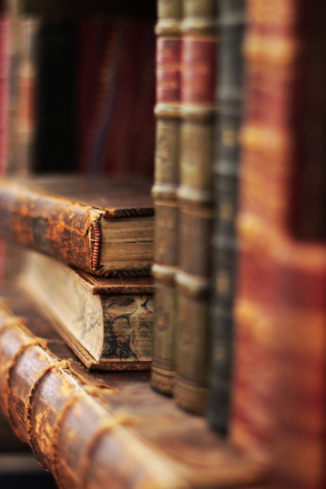 tumblr_n0vpncYW3c1s538hbo1_1280