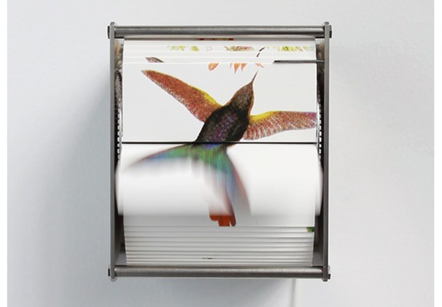 20150226072256-Fontanive_02