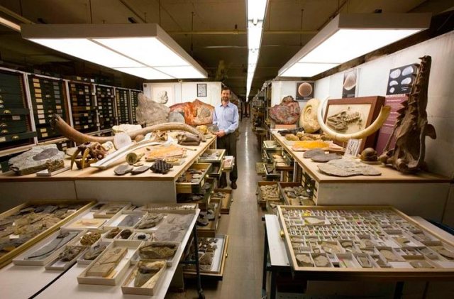 Smithsonian-National-Museum-of-Natural-History-collections-1