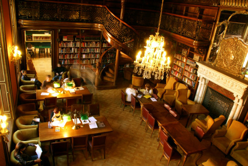 tumblr_o3b91dYSt41r674a0o1_500