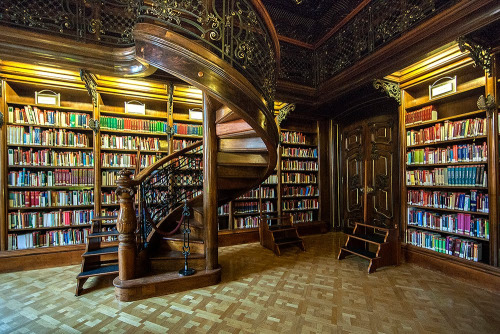 tumblr_o3b93yZ8471r674a0o1_500