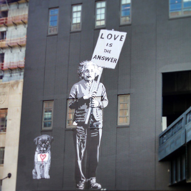 11230405_1599269500312705_155024836_n