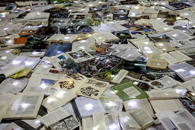 literature-vs-traffic-6