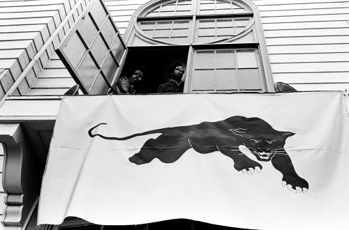 tumblr_oh0g0b7htk1qz6f9yo7_500