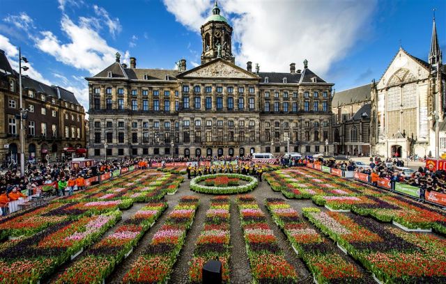 2015-01-17 13:00:47 AMSTERDAM - Belangstellenden plukken tulpen op de Dam op Nationale Tulpendag. Het evenement is het officiele startschot voor het internationale tulpenseizoen dat tot eind april loopt. ANP KOEN VAN WEEL